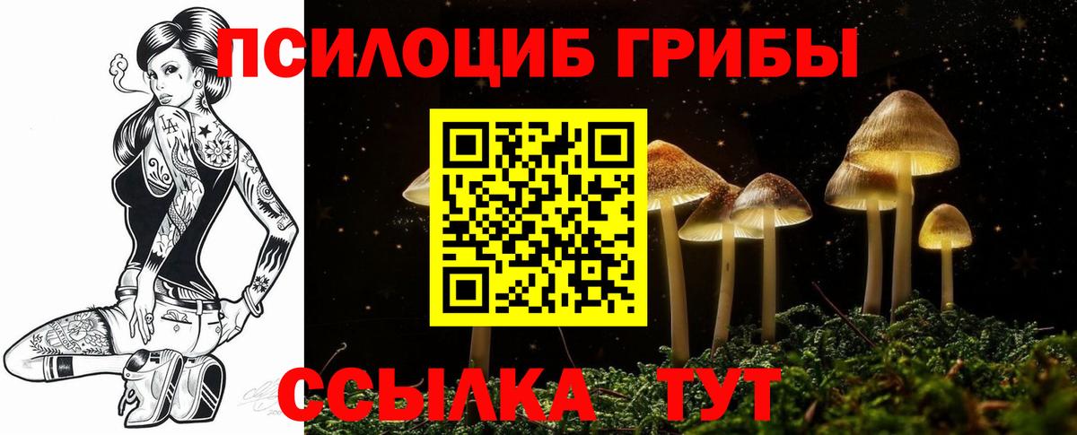 Самара  Псилоцибиновые грибы GOLDEN TEACHER  Вход с VPN 
